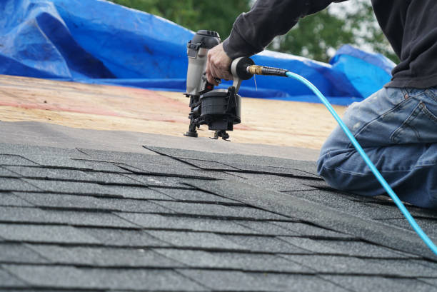 Best Roof Gutter Cleaning  in Rome, GA